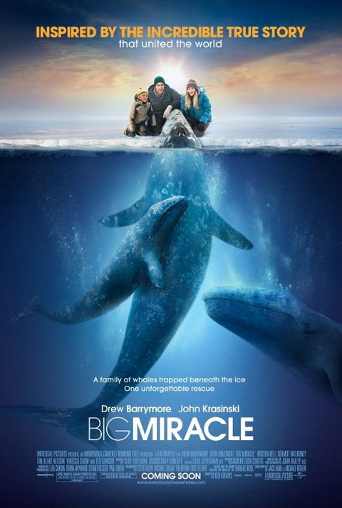 Big Miracle penyelamatan Paus dari dinding es