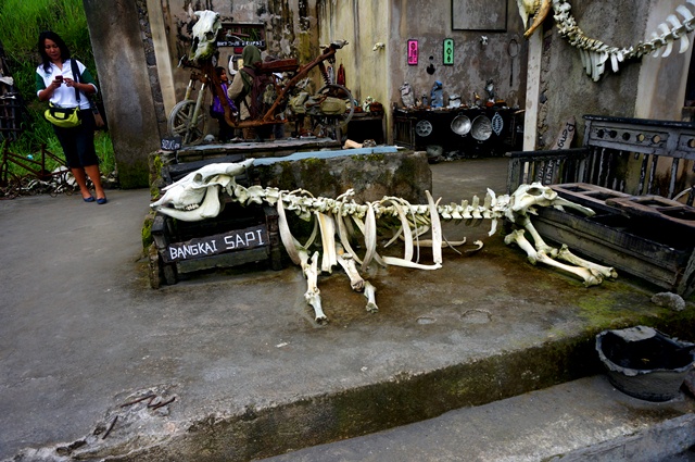 Bangkai sapi wedhus gembel