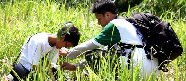 gali terus dik dan tanam yang dalam