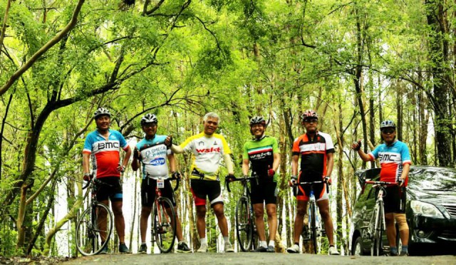 Hutan Pinus Mangunan