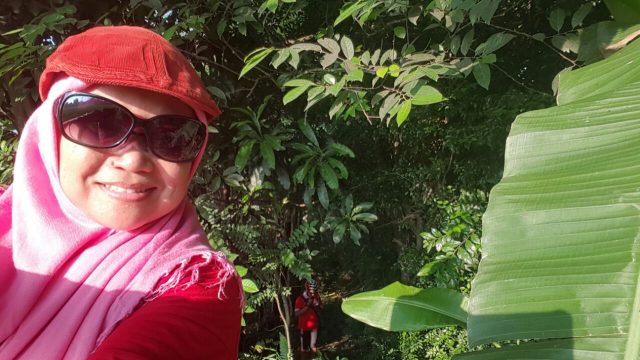 Ditinggal di hutan pinggir sawah