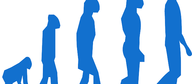 dari membungkuk menuju ke berdiri tegak (pixabay)