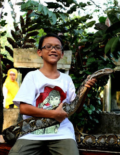 tahun 2013 lilo dan ular